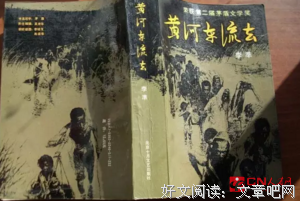 《黄河边的中国(增补本)》的读后感大全
