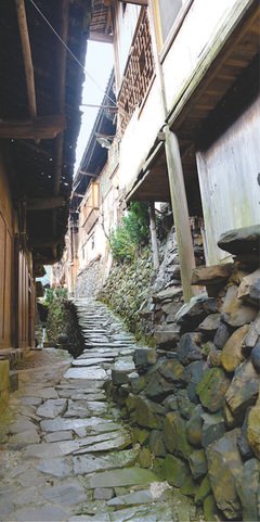 中国乡村读后感锦集