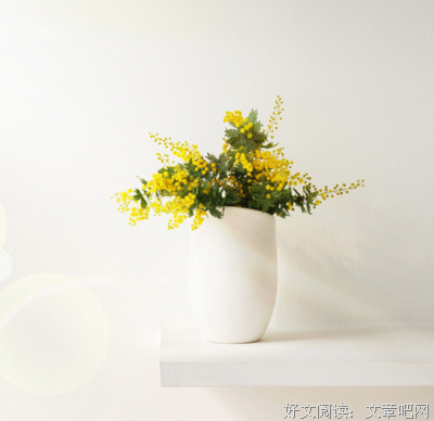 关于一雄的唯美语录