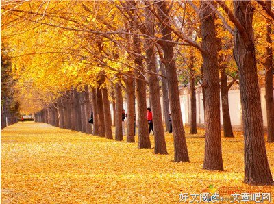 描写圆圆的经典句子