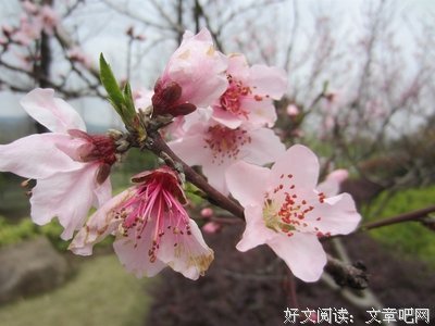 心名句欣赏