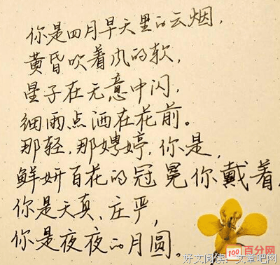 伤感语录