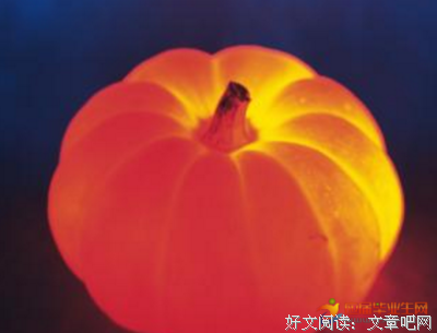 关于结的优美句子