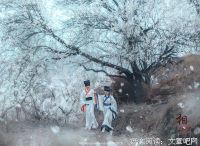 相思引句子