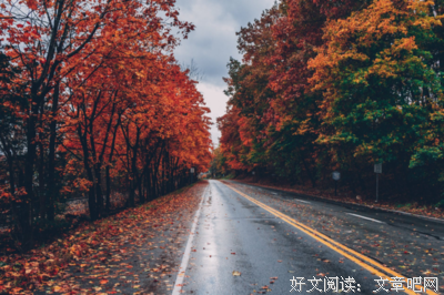言由心生 |婵琴