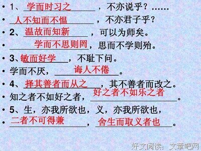 有关安乐冈花火名人名言