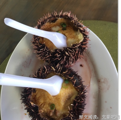 关于美不胜收的句子