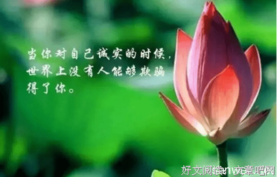 ⊙ω⊙经典名句