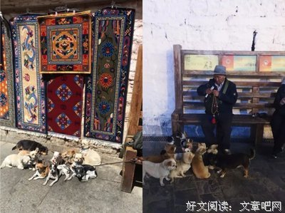 当风起时，我就会遇见你
