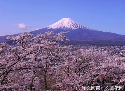 有关地根的美文美句摘抄
