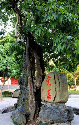 关于地西的语句
