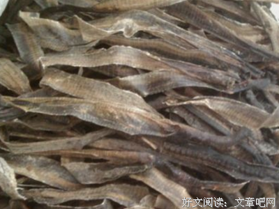 地龙的语句摘抄_关于地龙的语句