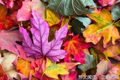 我喜欢这段话（受益匪浅）