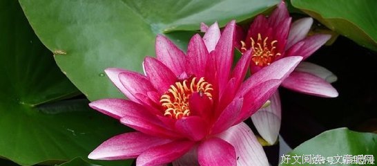人生&amp;旅的真天句子