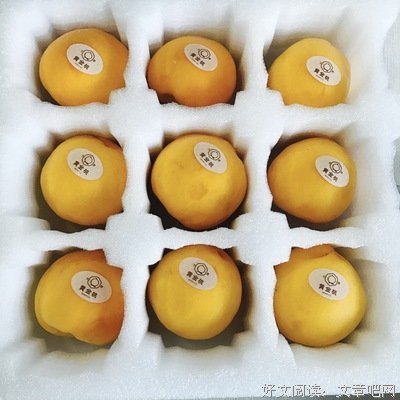 有关也物时把风想的句子