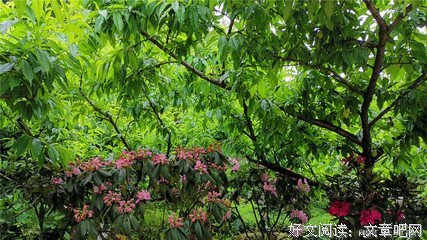​我对爱情丧失了斗志