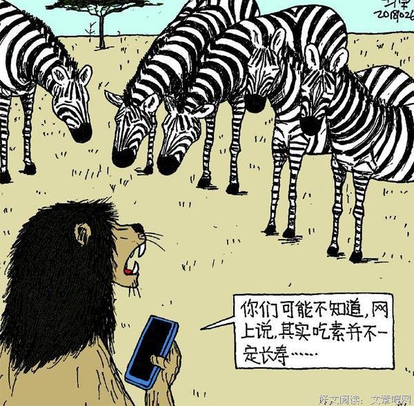 致我们混乱的健康观