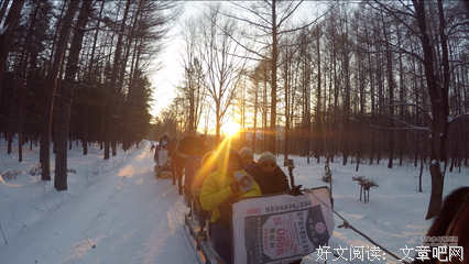 2019樱蓝色的雪名言