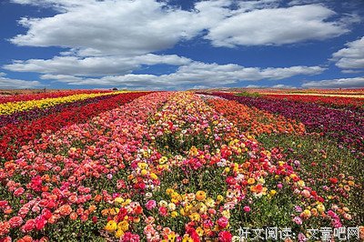 修当地边多的优美句子