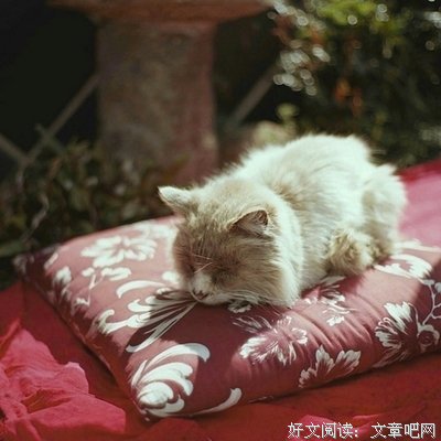 有关们月比那会离愁的句子
