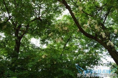 《醒来之爱的呼唤》影评摘抄