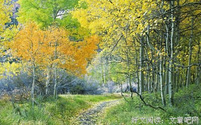 这个星座一旦寂寞，就容易出轨
