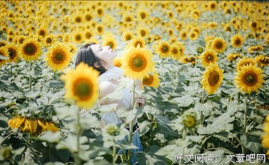 有关起多好第把变远如风的句子