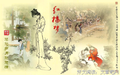 红楼梦读后感锦集