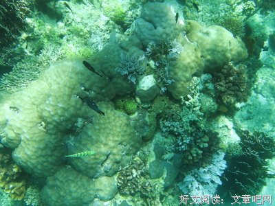 余生，让开心成为一种习惯