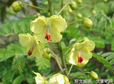 云实的名句_关于云实的名句
