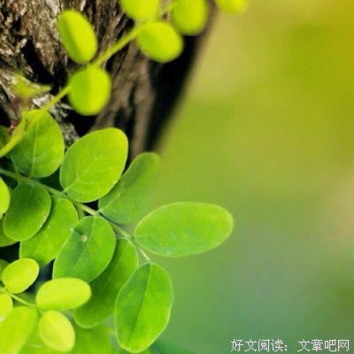 关于塔莎名言名句