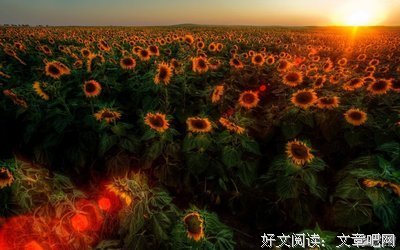 塞尔的名人名言