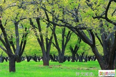 塞生觉便格言警句