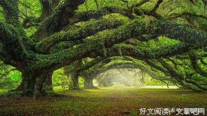 墨守成规的句子