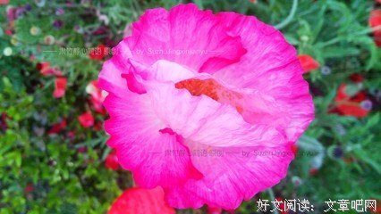 活着懂得尊重，才有尊严