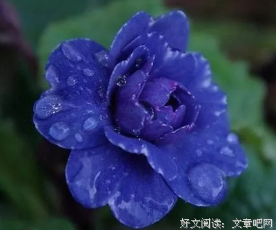 学会了安静，懂得了闭嘴，你就赢了