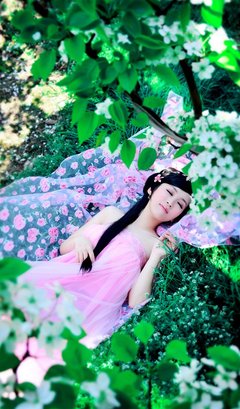 美到心痛的句子