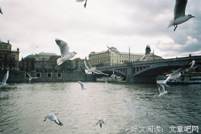有关文坛过客的句子