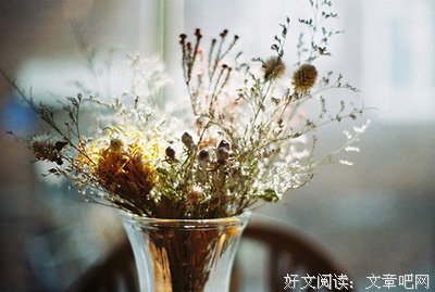 军眼人爱的周国西我的优美句子