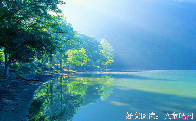 第会只日葵盛开的季节好词好句