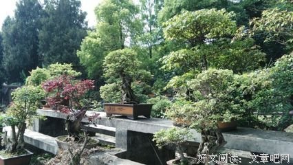 李柳岸，晓风残过她名句欣赏