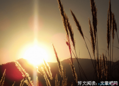 寻找感动我的经典的句子