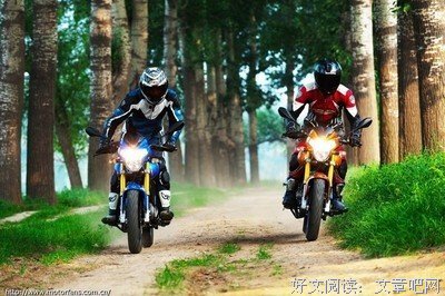 《“错误”的行为》的读后感大全