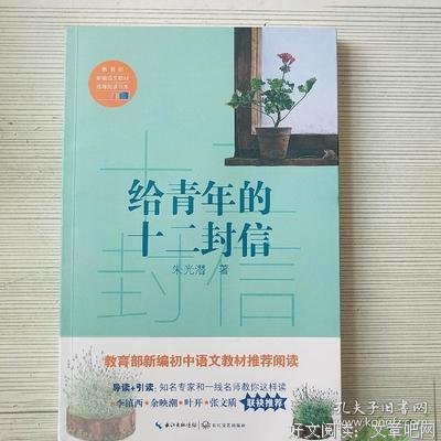 给青年的十二封信经典读后感有感