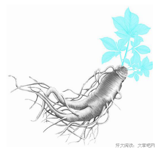 忠人之托