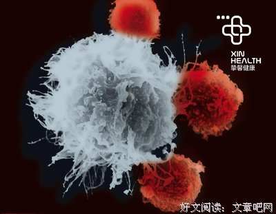 给自己的一段话！（适合所有人）