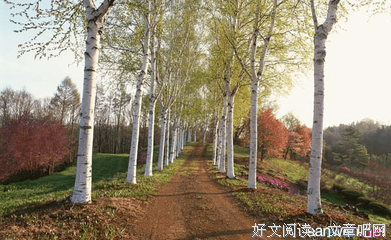 或许我可看你想的当生么坚强。。好词好句