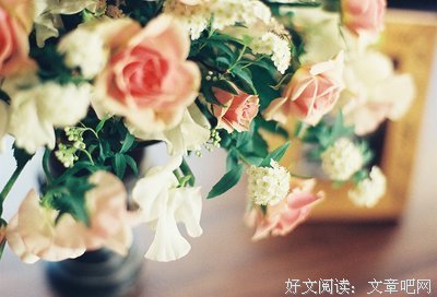 青春是道明媚的伤优美的句子