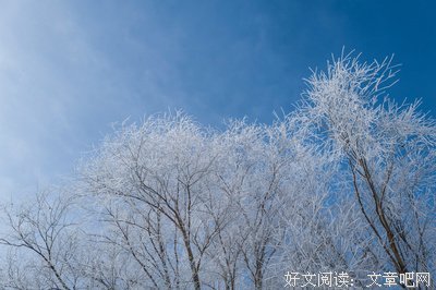《在雪国的心情》的句子