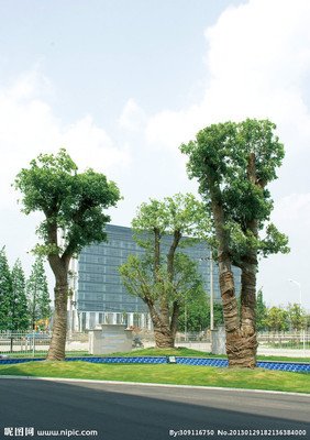 三生里，四海八荒和其他空间的时间相对论